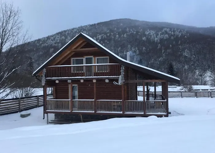 свидюків Holiday home Staryy Mizun